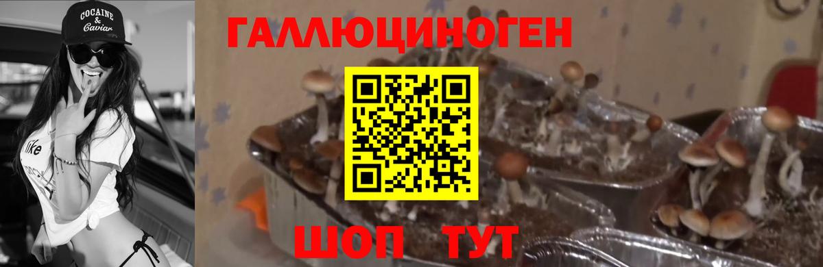 Псилоцибиновые грибы прущие грибы  Вход с VPN  Белорецк  Галлюциногенные грибы ЛСД 